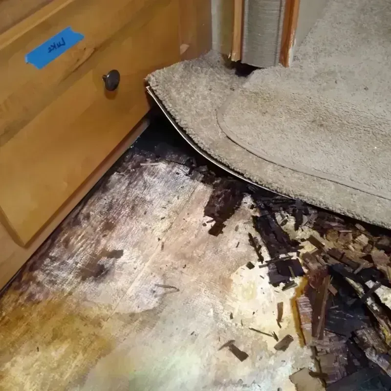 Wood Floor Water Damage in Christopher, IL